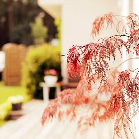 Apartman Urlop Przy Wydmach *