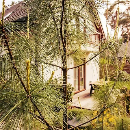 Urlop Przy Wydmach * Międzywodzie