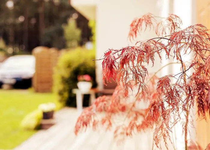 アパート Urlop Przy Wydmach *