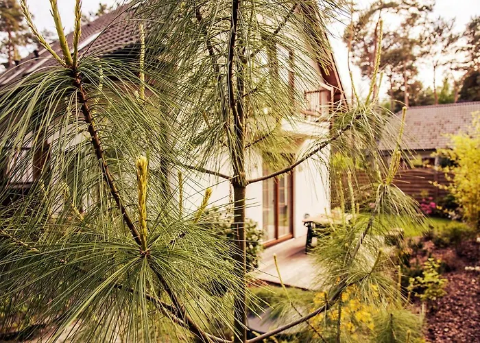 Urlop Przy Wydmach * ミエンジボジェ