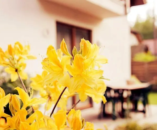 Urlop Przy Wydmach Międzywodzie