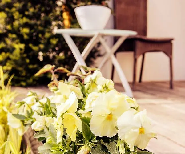 Urlop Przy Wydmach *