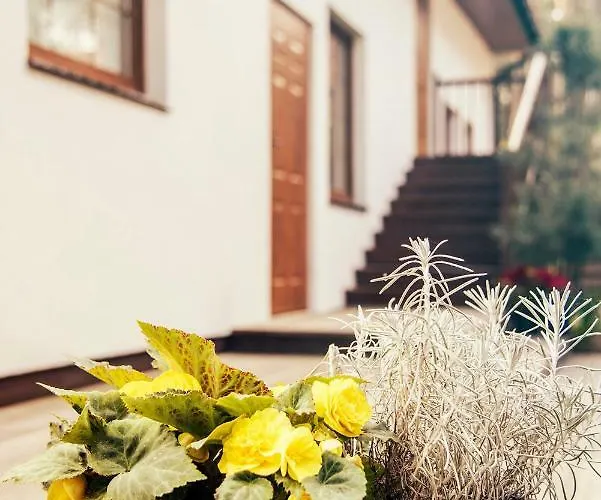 Urlop Przy Wydmach *