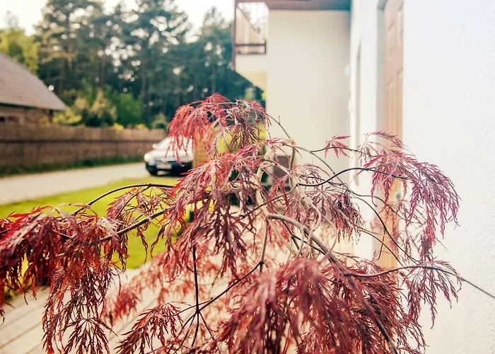 Urlop Przy Wydmach * Międzywodzie